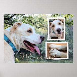 Pitbull - Maverick Composiet Poster