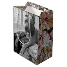 Pitbull met Bloemen Fotografie