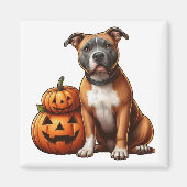 Pitbull met Halloween pompoenen Magneet (Voorkant)