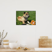 Pitbull met honkbal-poster poster (Keuken)