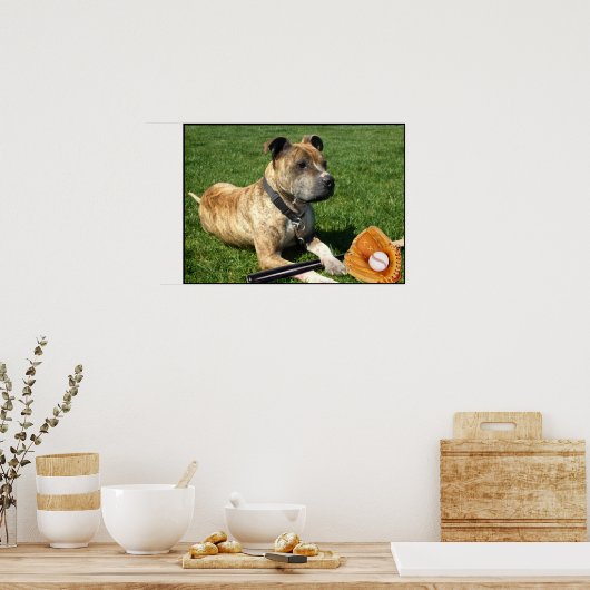 Pitbull met honkbal-poster poster (Keuken)