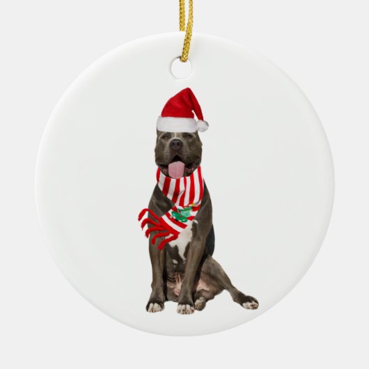 PITBULL met Pet schaatskerst Keramisch Ornament (Voorkant)