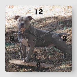 Pitbull met skateboard Genummerde Klok van de Muur