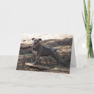 Pitbull met Skateboard Hartelijk dank Bedankkaart