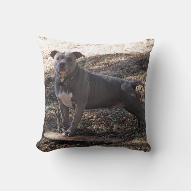 Pitbull met Skateboard Pillow Kussen (Voorkant)