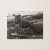 Pitbull met Skateboard Puzzle Legpuzzel (Horizontaal)