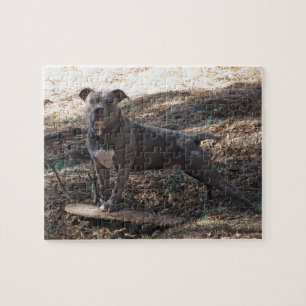 Pitbull met Skateboard Puzzle Legpuzzel