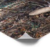 Pitbull met Skateboard Skaters slechts Poster (Hoek)