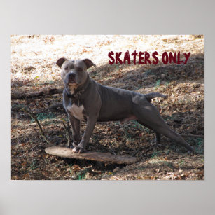 Pitbull Wanddecoratie En Kunst | Zazzle Nl