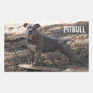Pitbull met Skateboard-Stickers Rechthoekige Sticker