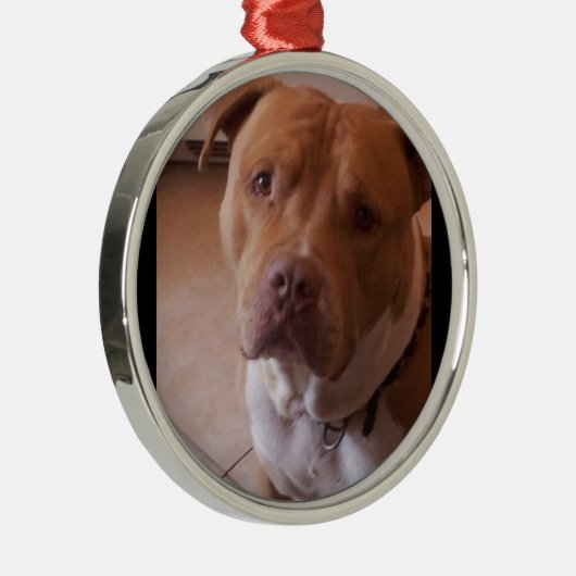 pitbull metalen ornament (Rechts)