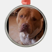 pitbull metalen ornament (Voorkant)