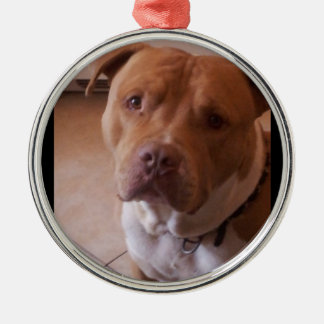 pitbull metalen ornament