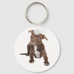 Pitbull Moeder Puppy Hond Redding Adopt Pit Bull V Sleutelhanger