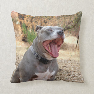 Pitbull Morning Yawn Pillow Kussen