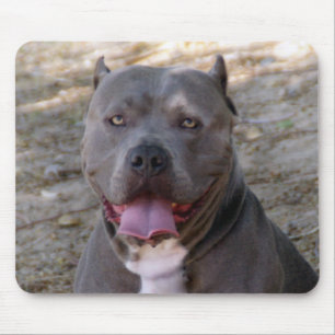 Pitbull Mousepad Muismat