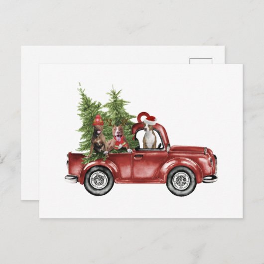 Pitbull op kerst-ornament voor de auto briefkaart (Voorkant / Achterkant)