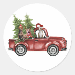 Pitbull op kerst-ornament voor de auto ronde sticker