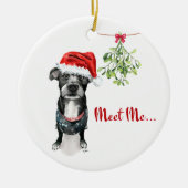 Pitbull Ornament - Ontmoet me onder de mistletoe (Voorkant)