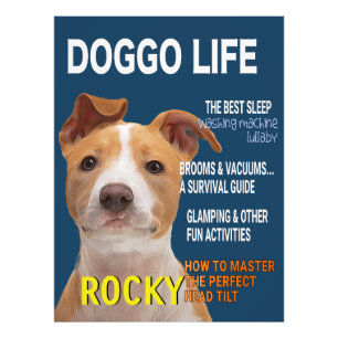 Pitbull Parody Magazine Hoesje Foto Afdruk