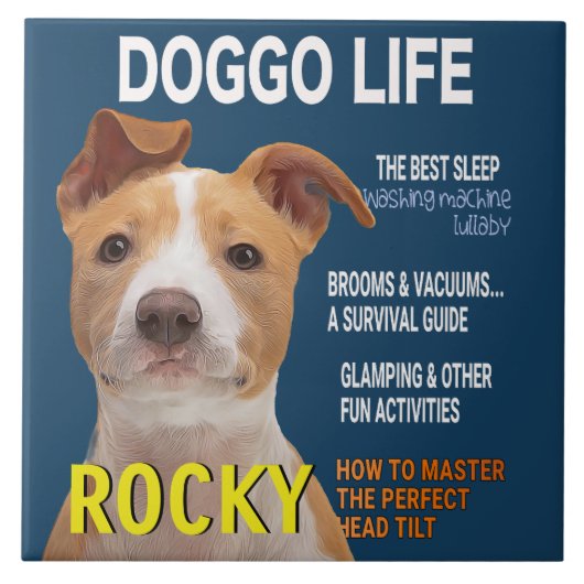 Pitbull Parody Magazine Hoesje Tegeltje (Voorkant)