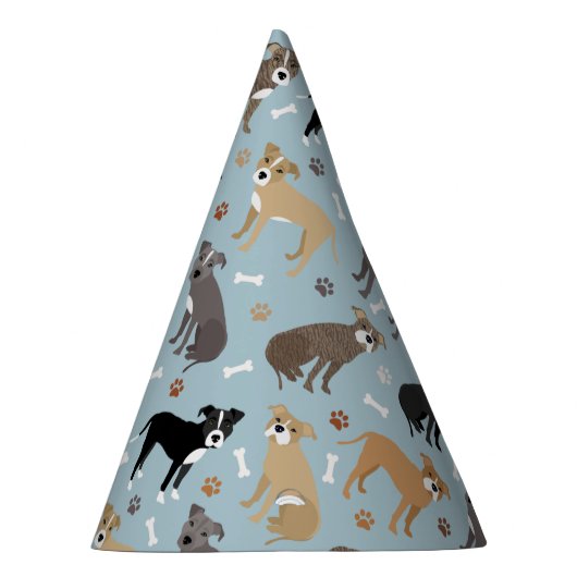 Pitbull Paws en Botten Feesthoedjes (Rechts)