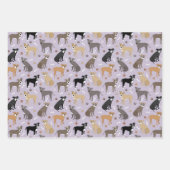 Pitbull Paws en Botten Inpakpapier Vel (Voorkant 2)