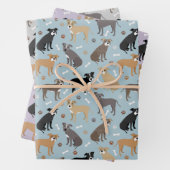 Pitbull Paws en Botten Inpakpapier Vel (In situ)