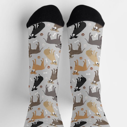 Pitbull Paws en Botten Socks Sokken (Top)