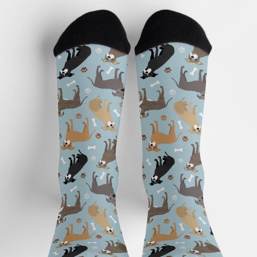 Pitbull Paws en Botten Socks Sokken (Top)
