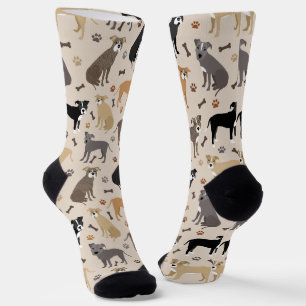 Pitbull Paws en Botten Socks Sokken