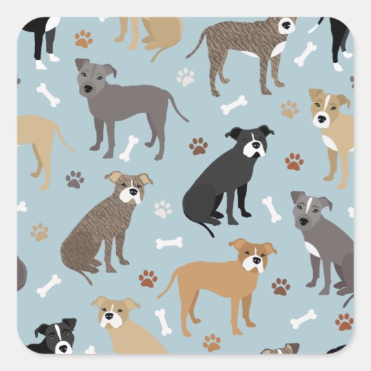 Pitbull Paws en Botten Vierkante Sticker (Voorkant)