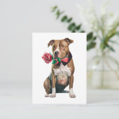 Pitbull Pittie Puppy Dog Miss You Love Pit Bull Briefkaart (Staand voorkant)
