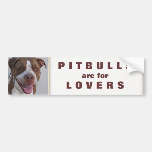 Pitbull Play met mij Bumpersticker (Voorkant)