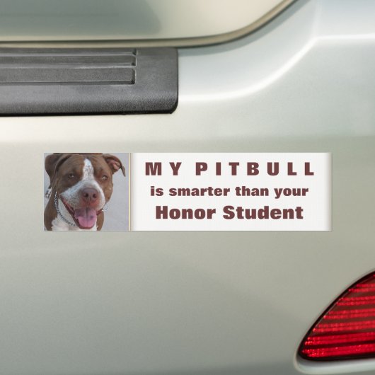Pitbull Play met mij Bumpersticker (Op auto)