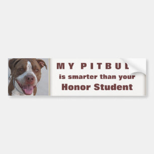 Pitbull Play met mij Bumpersticker