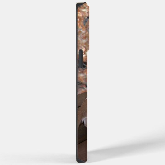 Pitbull Porch Dog iPhone Case (Achterkant / Rechts)