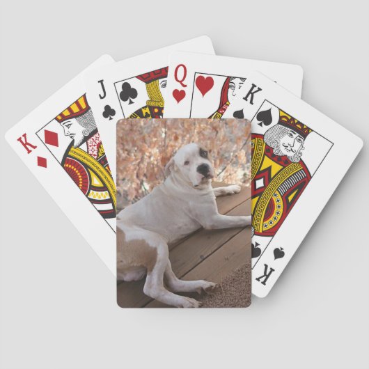 Pitbull Porch Dog-speelkaarten Pokerkaarten (Achterkant)