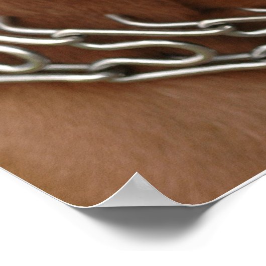 Pitbull Poster (Hoek)