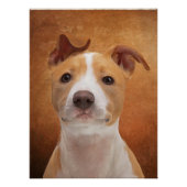 Pitbull-Poster Perfect Poster (Voorkant)