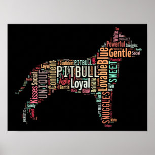 Pitbull-Poster Poster
