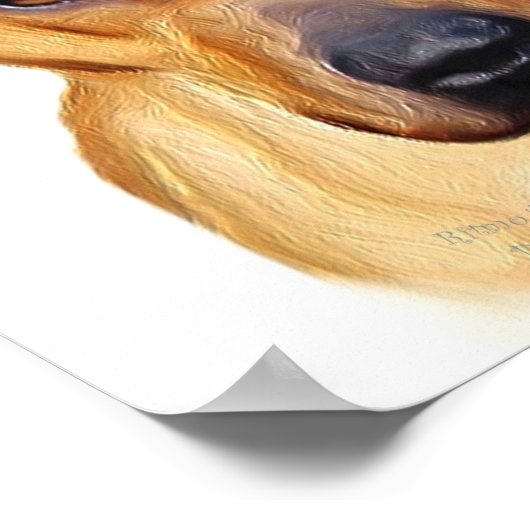 Pitbull-poster Poster (Hoek)