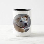 Pitbull Power Mok (Midden)