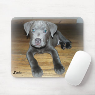Pitbull Pup / Mooie Hond  Muismat