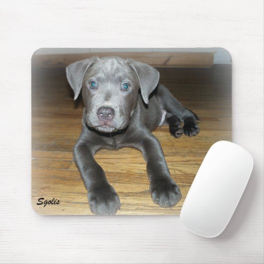 Pitbull Pup / Mooie Hond  Muismat (Met muis)