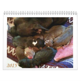 Pitbull Puppies Groei kalender