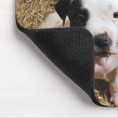 PitBull Puppies Mousepad Muismat (Hoek)