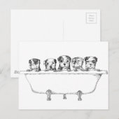 Pitbull-Puppies op de buis - afbeelding Briefkaart (Voorkant / Achterkant)