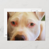 Pitbull Puppy Dog Eyes Art Briefkaart (Voorkant / Achterkant)