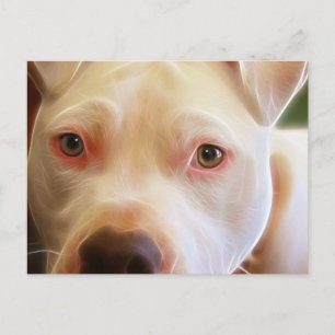 Pitbull Puppy Dog Eyes Art Briefkaart